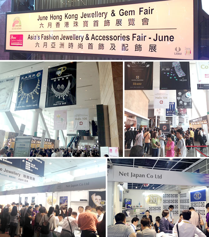 20140619gemfair.jpg