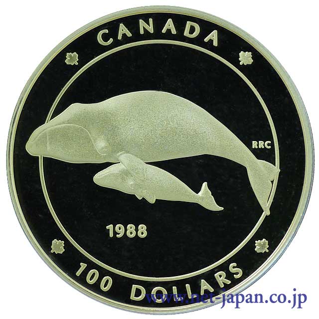 表：北極クジラ100ドル金貨